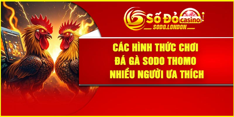 Các hình thức chơi đá gà Sodo Thomo nhiều người ưa thích