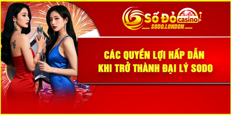 Các quyền lợi hấp dẫn khi trở thành đại lý Sodo