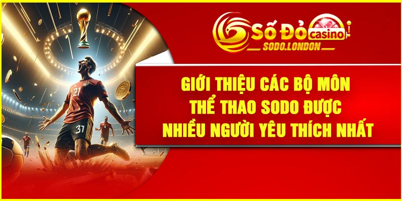 Giới thiệu các bộ môn thể thao Sodo được nhiều người yêu thích nhất
