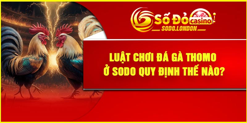 Luật chơi đá gà Thomo ở Sodo quy định thế nào?