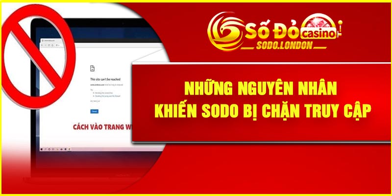 Những nguyên nhân khiến Sodo bị chặn truy cập