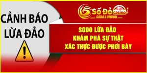 Sodo Lừa Đảo – Khám Phá Sự Thật Xác thực Được Phơi Bày