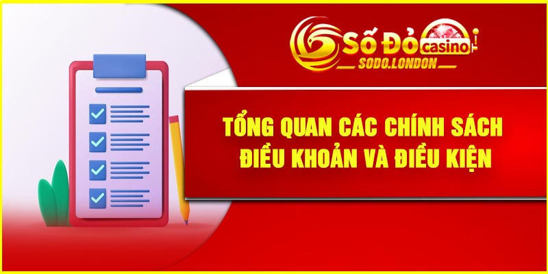 Tổng quan các chính sách điều khoản và điều kiện