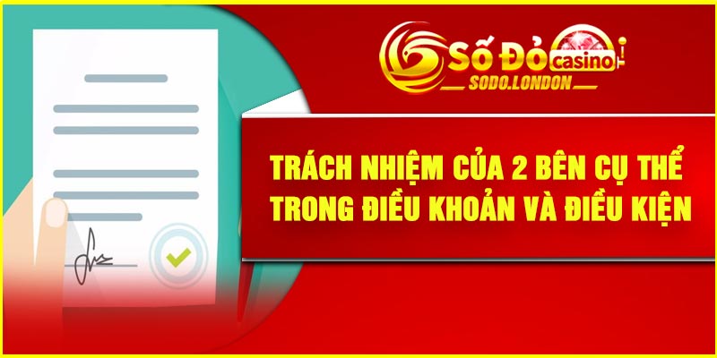 Trách nhiệm của 2 bên cụ thể trong điều khoản và điều kiện