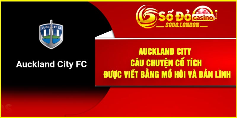 Auckland City – Câu chuyện cổ tích được viết bằng mồ hôi và bản lĩnh