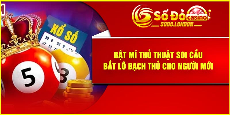 Bật mí thủ thuật soi cầu bắt lô bạch thủ cho người mới