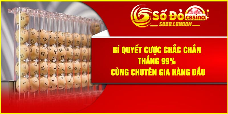 Bí quyết cược chắc chắn thắng 99% cùng chuyên gia hàng đầu