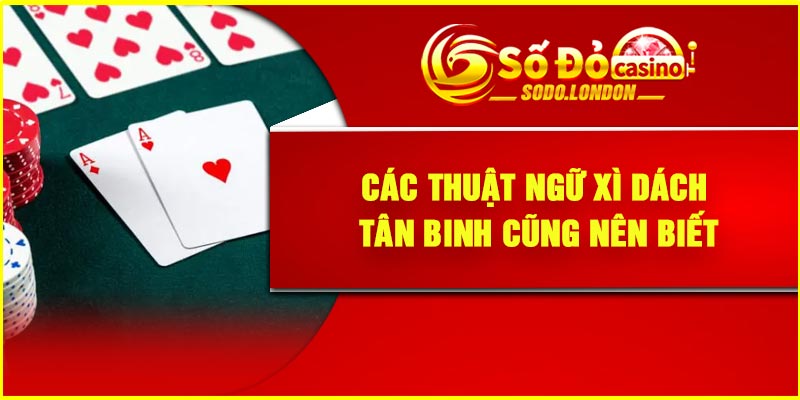 Các thuật ngữ Xì Dách tân binh cũng nên biết