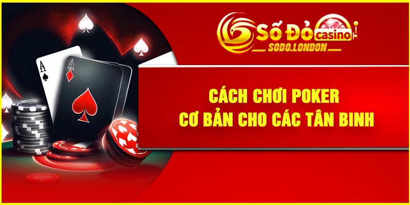 Cách chơi Poker cơ bản cho các tân binh