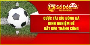 Cược Tài Xỉu Bóng Đá – Kinh Nghiệm Để Bắt Kèo Thành Công