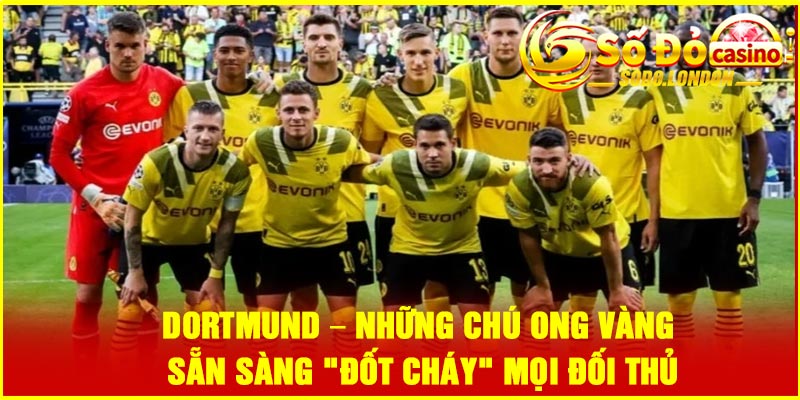 Dortmund – Những chú ong vàng sẵn sàng "đốt cháy" mọi đối thủ