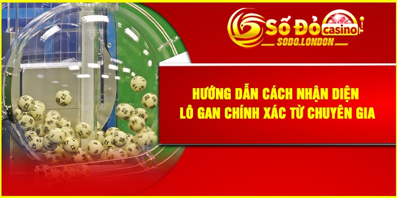 Hướng dẫn cách nhận diện lô gan chính xác từ chuyên gia