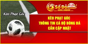 Kèo Phạt Góc – Thông Tin Cá Độ Bóng Đá Cần Cập Nhật