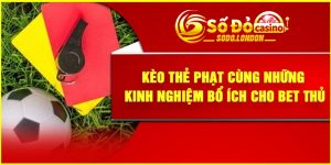 Kèo thẻ phạt Cùng Những Kinh Nghiệm Bổ Ích Cho Bet Thủ