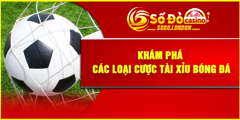 Khám phá các loại cược tài xỉu bóng đá