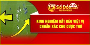 Kinh Nghiệm Bắt Kèo Việt Vị Chuẩn Xác Cho Cược Thủ