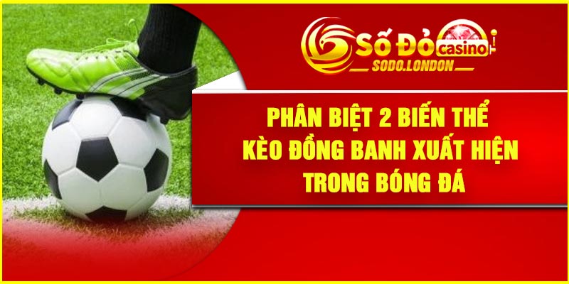 Phân biệt 2 biến thể kèo đồng banh xuất hiện trong bóng đá